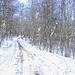 Paysages d'hiver à proximité de l'abbaye de St-Benoit-du-lac au Québec .  7 Février 2009- Colourful outlines /  Contours de couleurs