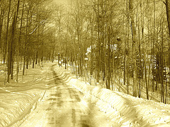 Paysages d'hiver à proximité de l'abbaye de St-Benoit-du-lac au Québec .  7 Février 2009 -  Sepia