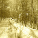 Paysages d'hiver à proximité de l'abbaye de St-Benoit-du-lac au Québec .  7 Février 2009 -  Sepia