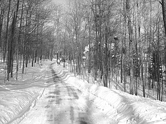 Paysages d'hiver à proximité de l'abbaye de St-Benoit-du-lac au Québec .  7 Février 2009-  B & W