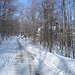 Paysages d'hiver à proximité de l'abbaye de St-Benoit-du-lac au Québec .  7 Février 2009