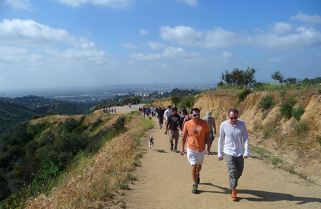 Hollywood Sign Hike (3974)