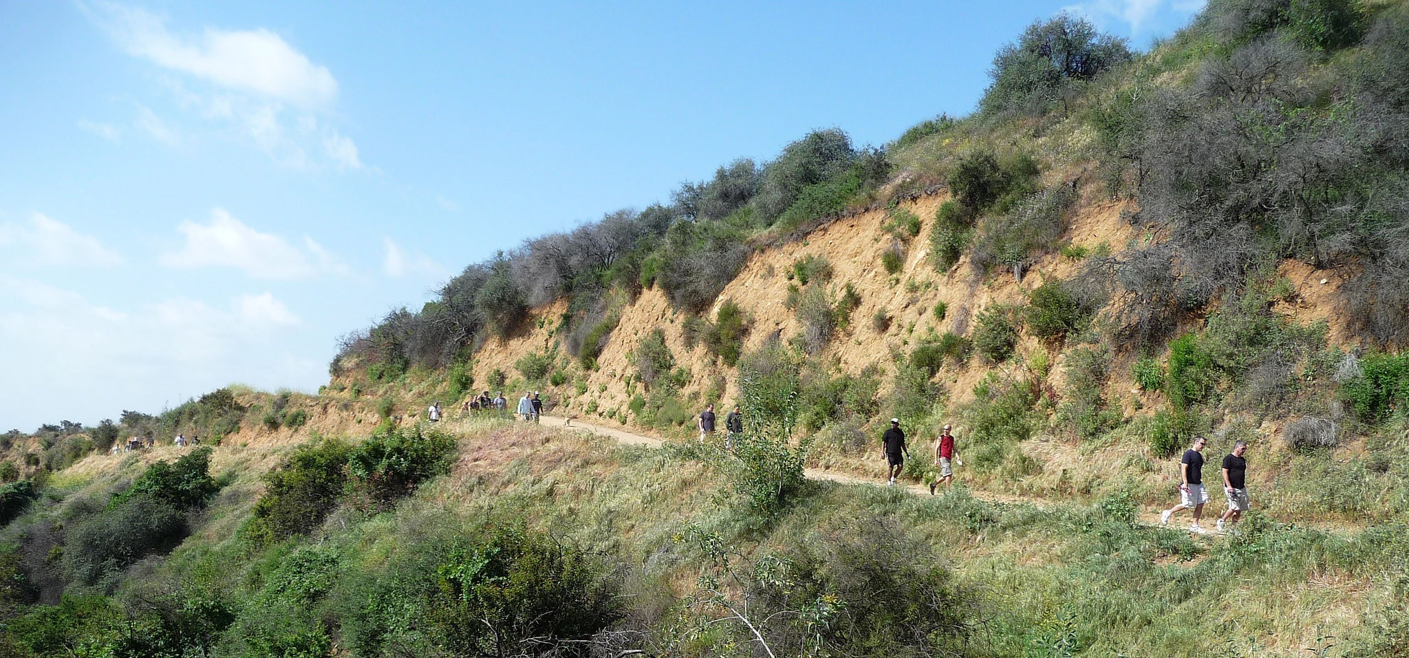 Hollywood Sign Hike (3975)