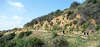 Hollywood Sign Hike (3975)