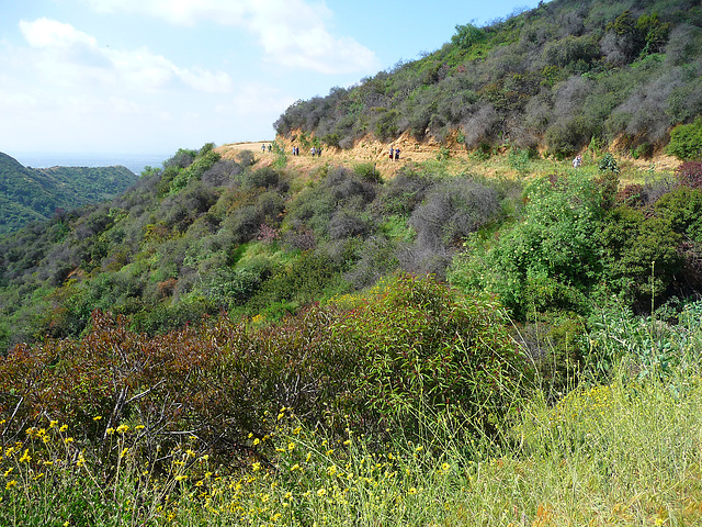 Hollywood Sign Hike (3977)