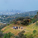 Hollywood Sign Hike (3978)