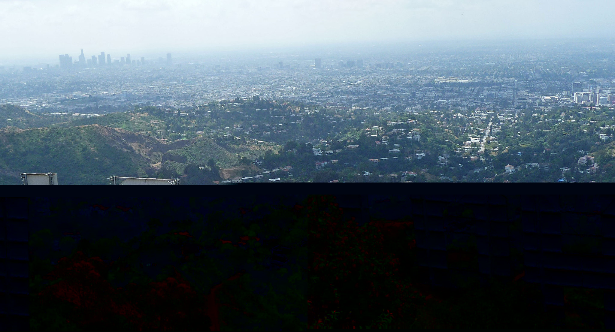 Hollywood Sign (3980)