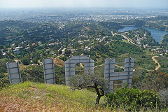 Hollywood Sign (3982)