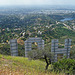 Hollywood Sign (3982)