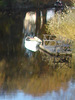 Reflet de rivière et fleurs de rive / River reflection and bank flowers - Ängelholm / Suède / Sweden - Recadrage flou original