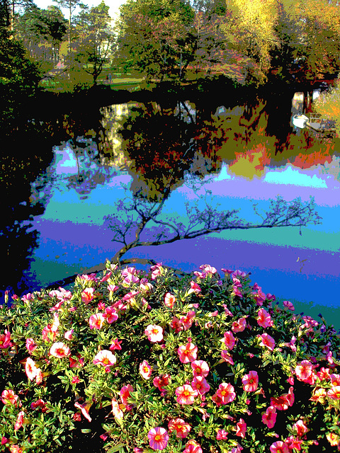 Reflet de rivière et fleurs de rive / River reflection and bank flowers - Ängelholm / Suède / Sweden.  23 octobre 2008- Postérisée avec photofiltre