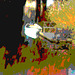 Reflet de rivière et fleurs de rive / River reflection and bank flowers - Ängelholm / Suède / Sweden.  23 octobre 2008 - Chaloupe psychédélique postérisée