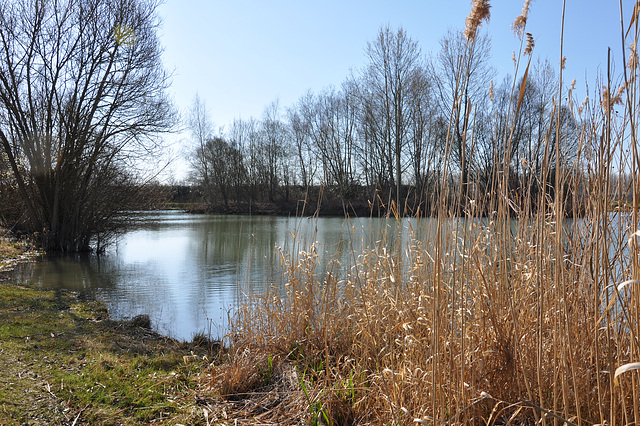 ETANG DE VERTUS