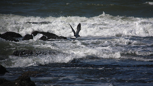 Jouer avec les vagues