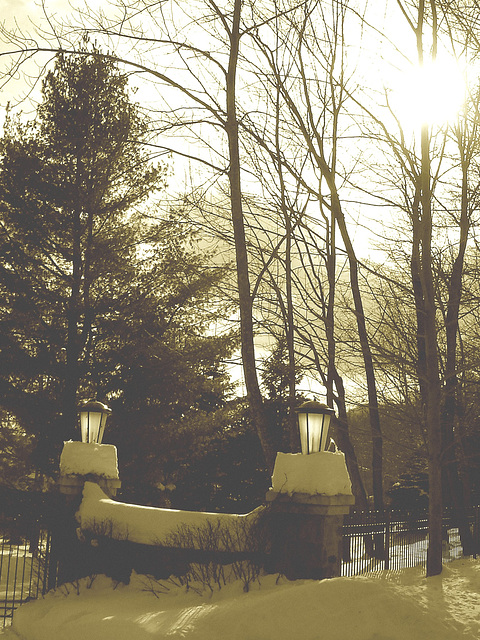 Paysages d'hiver à proximité de l'abbaye de St-Benoit-du-lac au Québec .  7 Février 2009-  Sepia