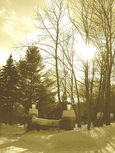 Paysages d'hiver à proximité de l'abbaye de St-Benoit-du-lac au Québec .  7 Février 2009 - Sepia