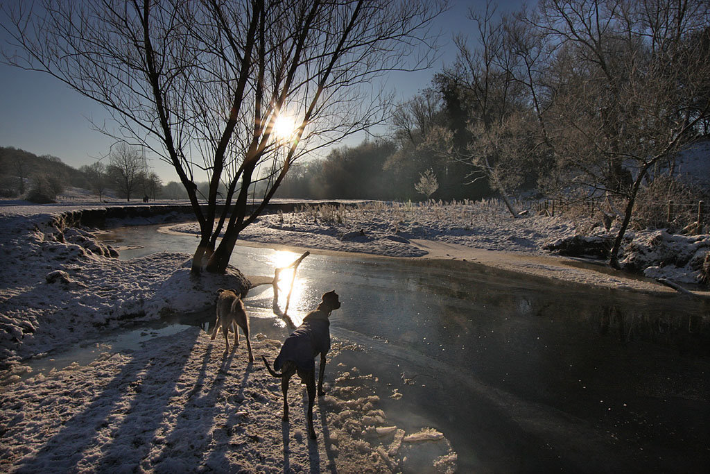 Riverside Christmas