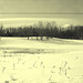 Paysages d'hiver à proximité de l'abbaye de St-Benoit-du-lac au Québec .  7 Février 2009- Photo ancienne / Vintage