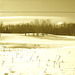 Paysages d'hiver à proximité de l'abbaye de St-Benoit-du-lac au Québec .  7 Février 2009 -  Sepia