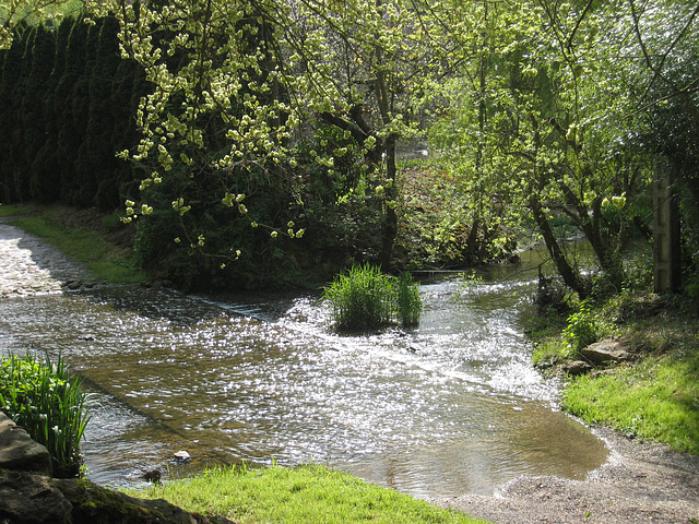 Gué du rû d'Ancueil - Moisenay