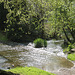 Gué du rû d'Ancueil - Moisenay