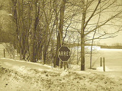 Paysages d'hiver à proximité de l'abbaye de St-Benoit-du-lac au Québec .  7 Février 2009 -  Sepia