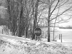 Paysages d'hiver à proximité de l'abbaye de St-Benoit-du-lac au Québec .  7 Février 2009-  B & W