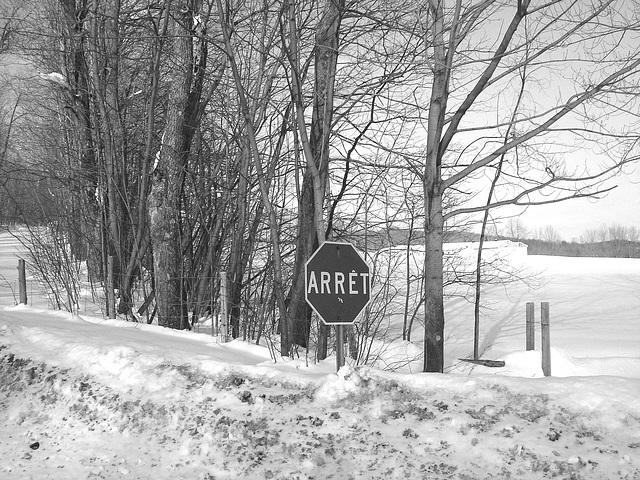 Paysages d'hiver à proximité de l'abbaye de St-Benoit-du-lac au Québec .  7 Février 2009-  B & W