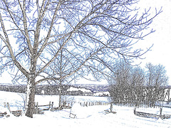 Paysages d'hiver à proximité de l'abbaye de St-Benoit-du-lac au Québec .  7 Février 2009-  Contours en couleurs / Colourful outlines