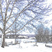 Paysages d'hiver à proximité de l'abbaye de St-Benoit-du-lac au Québec .  7 Février 2009-  Contours en couleurs / Colourful outlines