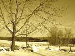 Paysages d'hiver à proximité de l'abbaye de St-Benoit-du-lac au Québec .  7 Février 2009- Sepia