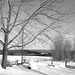 Paysages d'hiver à proximité de l'abbaye de St-Benoit-du-lac au Québec .  7 Février 2009 -  B & W