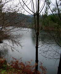 North of Portugal, Region of Guimarães, a river in your eyes