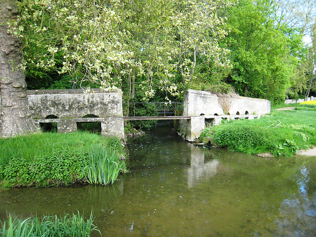 Rû d'ancoeur - Moisenay