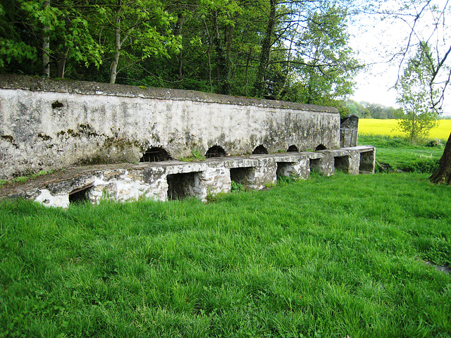 Rû d'ancoeur - Moisenay