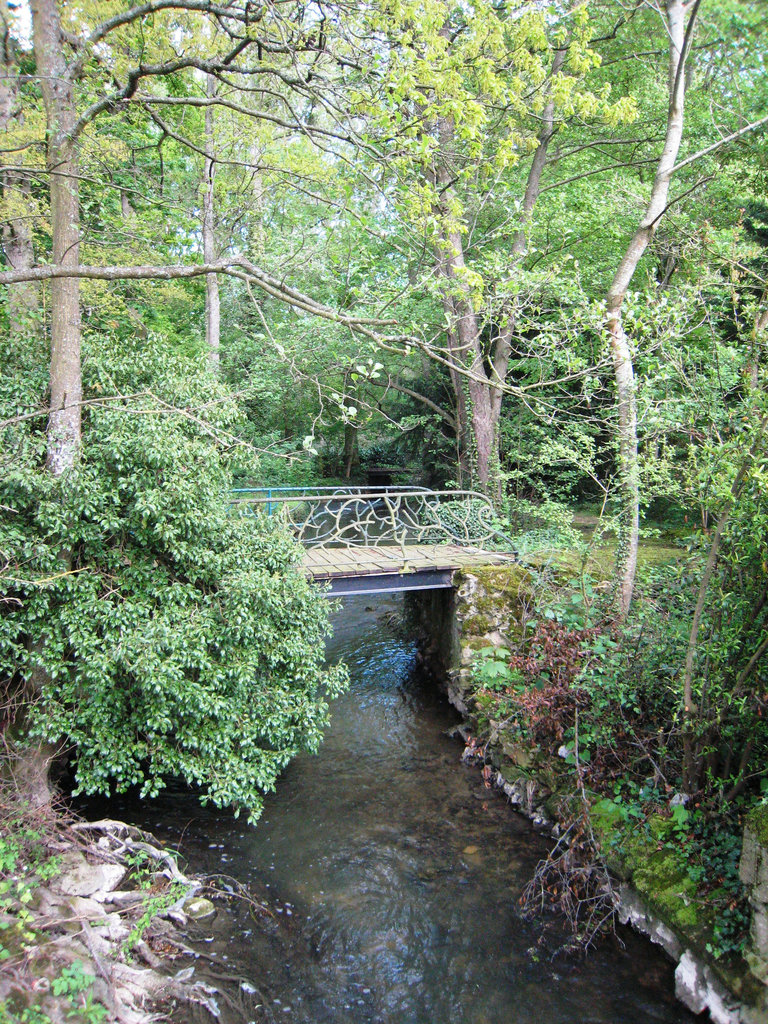 Rû d'ancoeur - Moisenay
