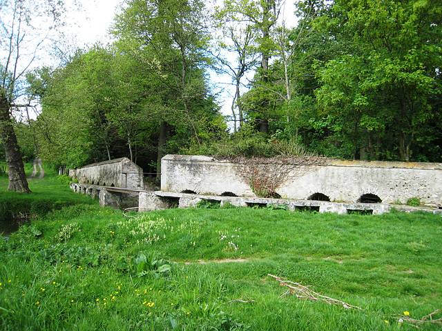 Rû d'ancoeur - Moisenay