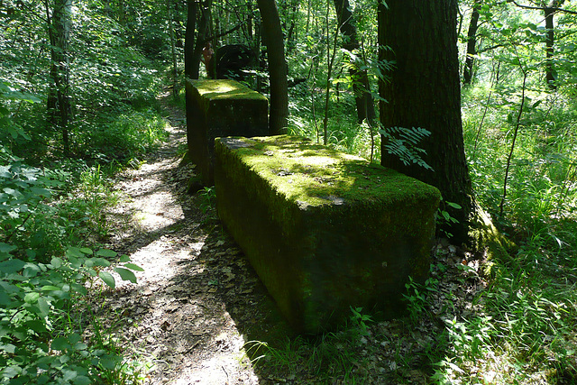 Wanderung zur Wilkeaussicht von 1903