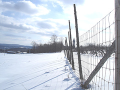 Paysages d'hiver à proximité de l'abbaye de St-Benoit-du-lac au Québec