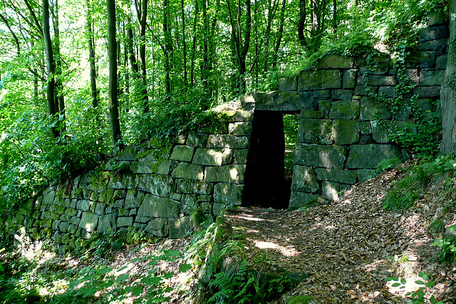 Wanderung zur Wilkeaussicht von 1903