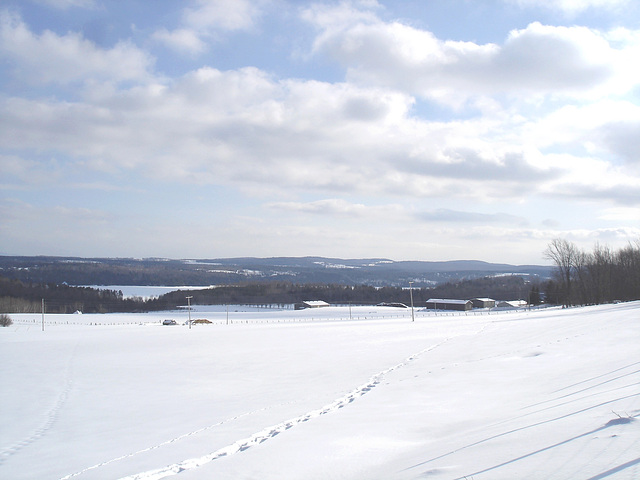 Paysages d'hiver à proximité de l'abbaye de St-Benoit-du-lac au Québec .  7 Février 2009