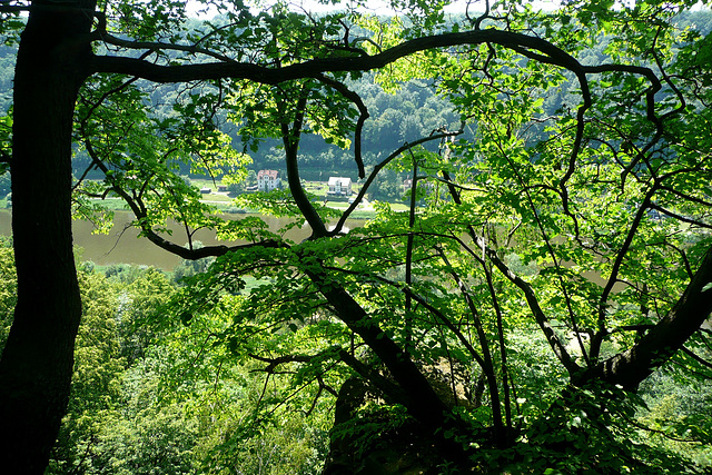 Wanderung zur Wilkeaussicht von 1903