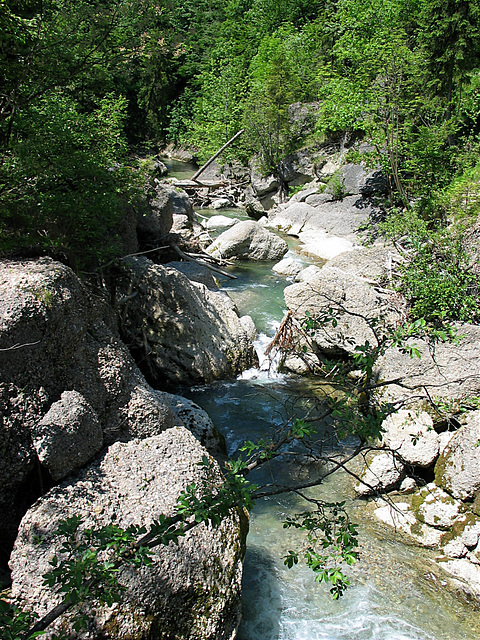 Bergbach  vom Buchenegger Wasserfall