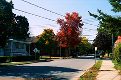 Beekman Street In The Fall, Picture 3, Edit for Color, Saratoga Springs, NY, USA, 2008