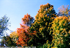 Fall Colors in Saratoga Springs, Picture 3, Edit for Color, NY, USA, 2008
