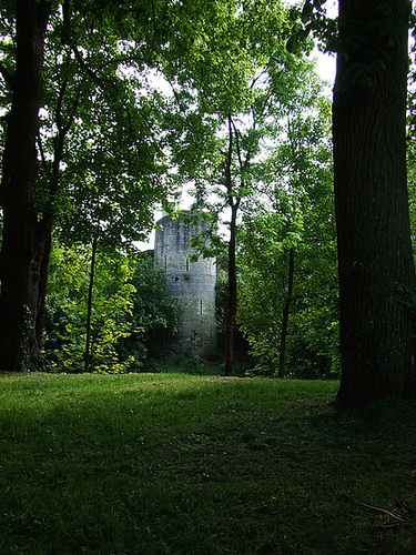 Photo 022