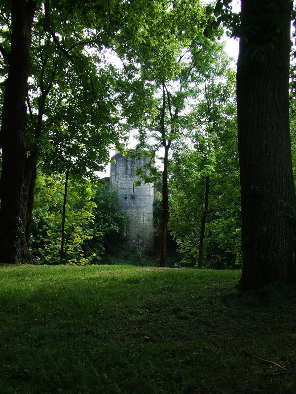 Photo 022