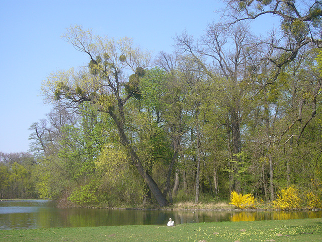 Nymphenburger Schlosspark