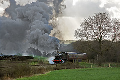 Cliff  Farm Crossing