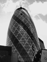 Monochrome Gherkin